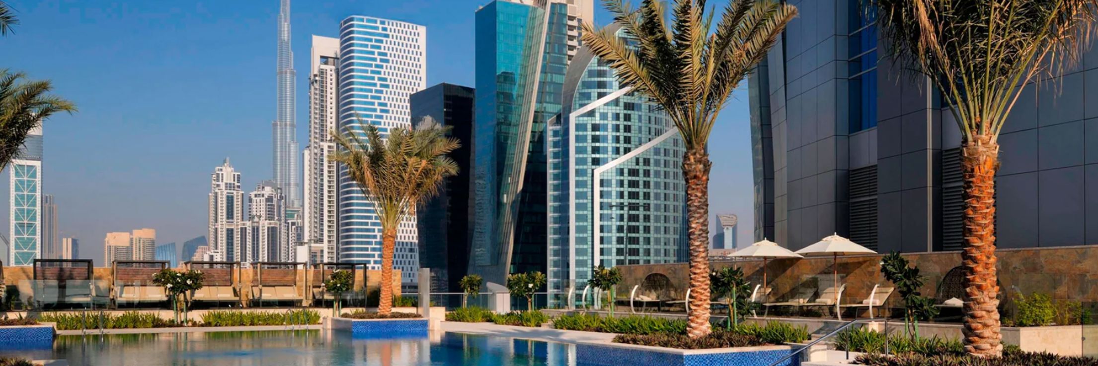 Palm trees in front of resort
